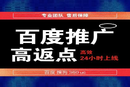 竞价推广中的着陆页策略：成功案例解读