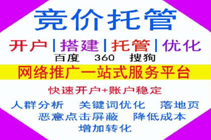 精准投放，高效转化——网站sem托管的胜利案例